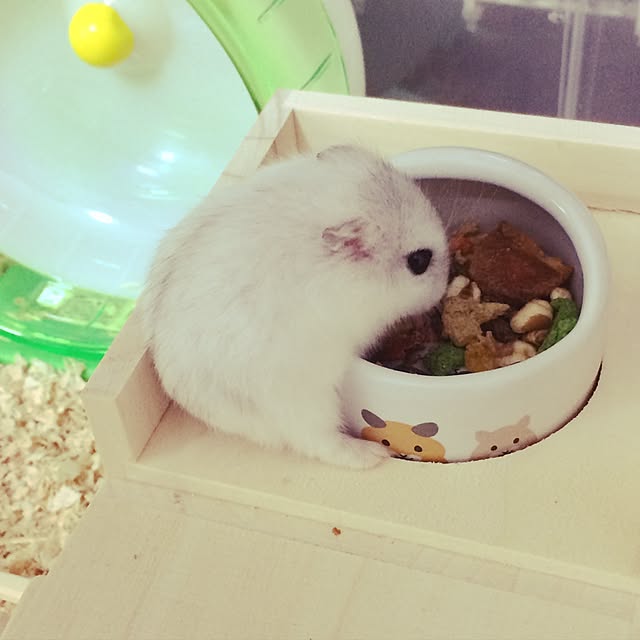 S-tさんの実例写真