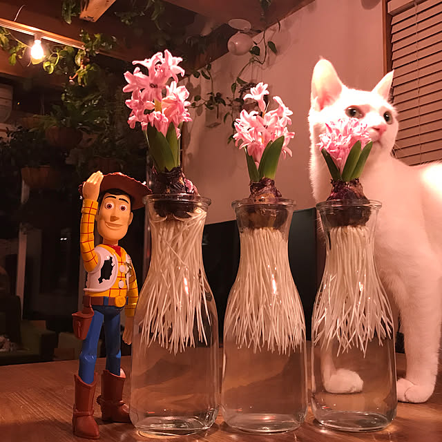 sakurasakuさんの実例写真
