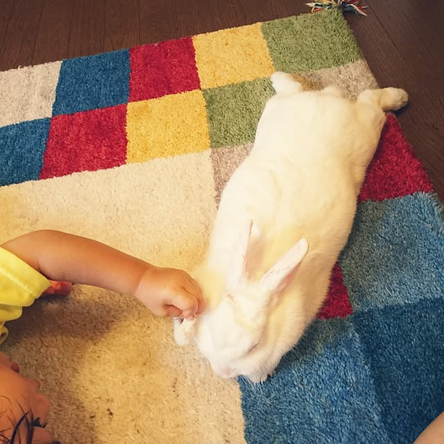 pepeさんの実例写真