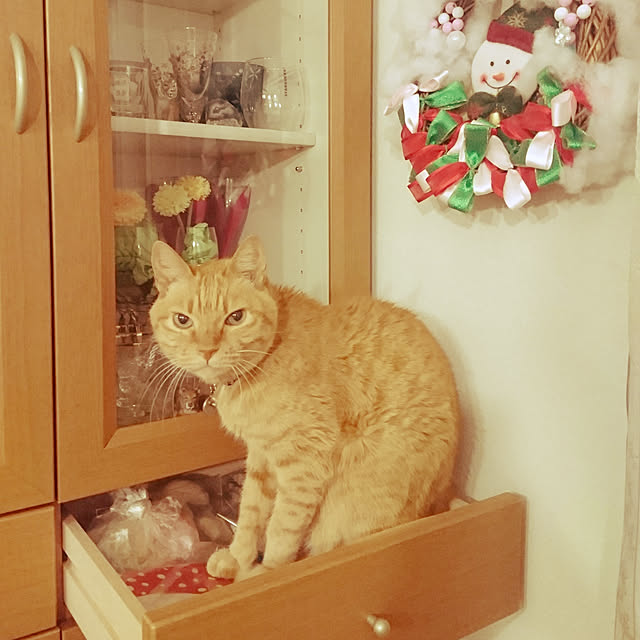 makkiiさんの実例写真
