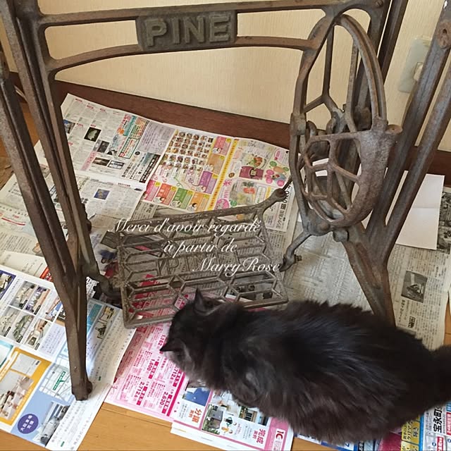 maria.rさんの実例写真