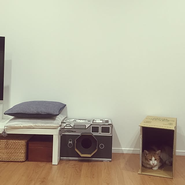 myk93さんの実例写真