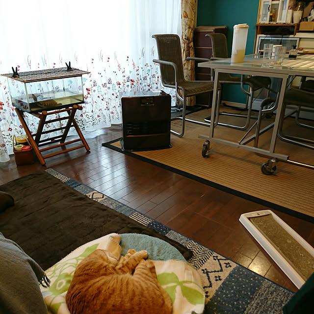 okyosan101さんの実例写真