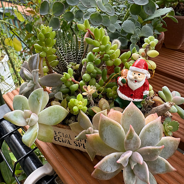 Aqettyさんの部屋