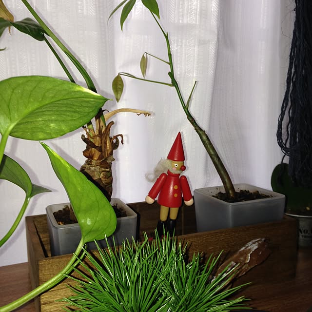 mikyuさんの実例写真