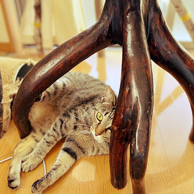 Mさんの実例写真