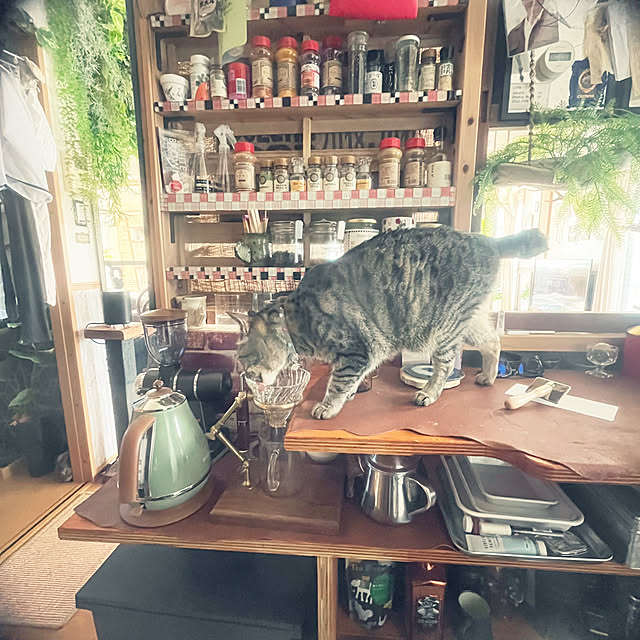 Mさんの部屋