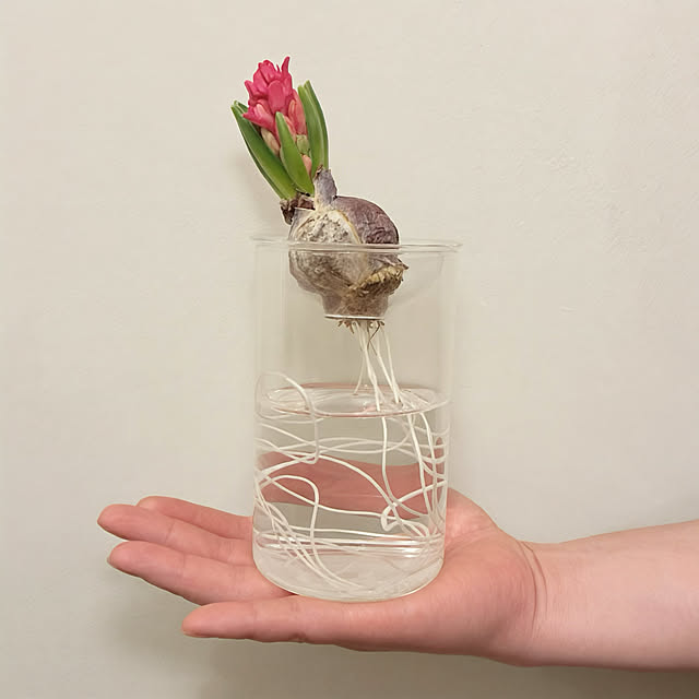 karenさんの実例写真