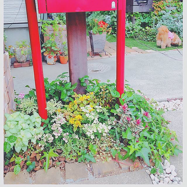 risaさんの実例写真