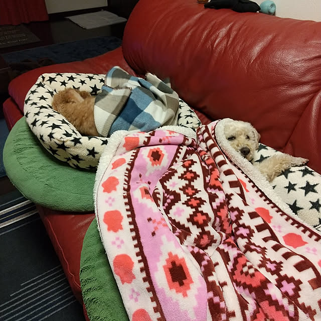 Mayumiさんの部屋
