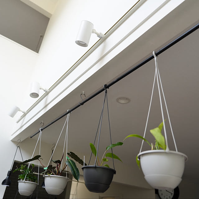 jijicoさんの実例写真