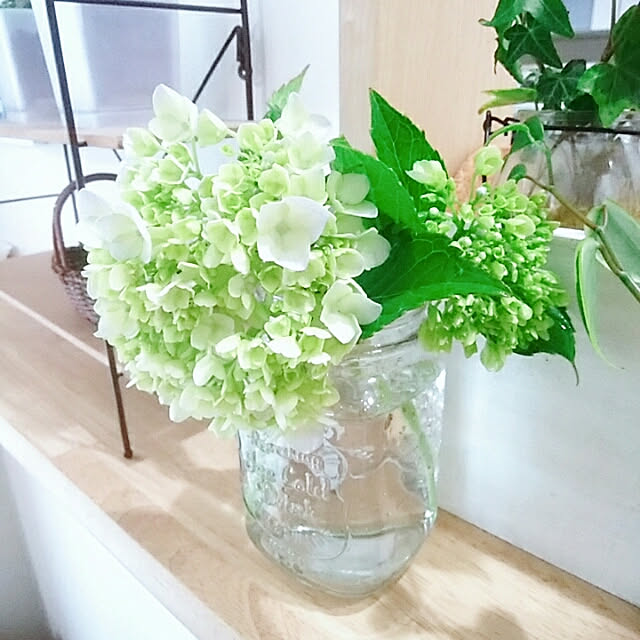 mintさんの実例写真