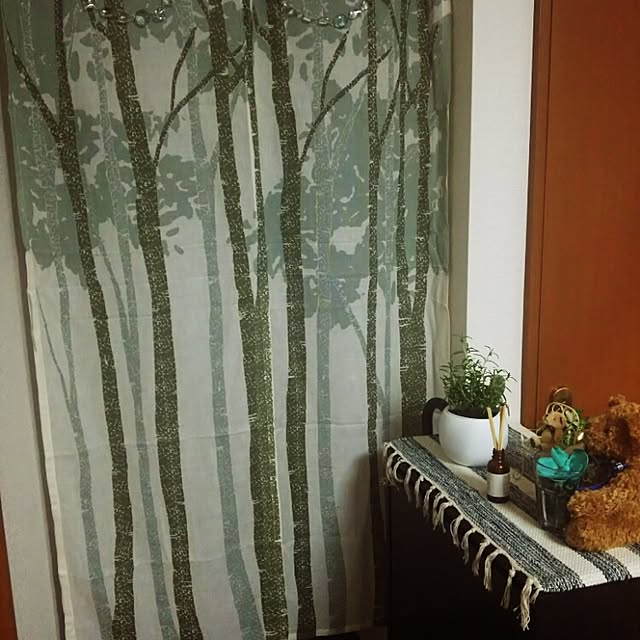 ayanebulaさんの実例写真