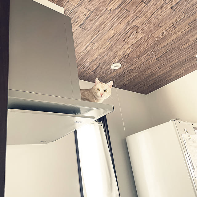 aikaさんの実例写真