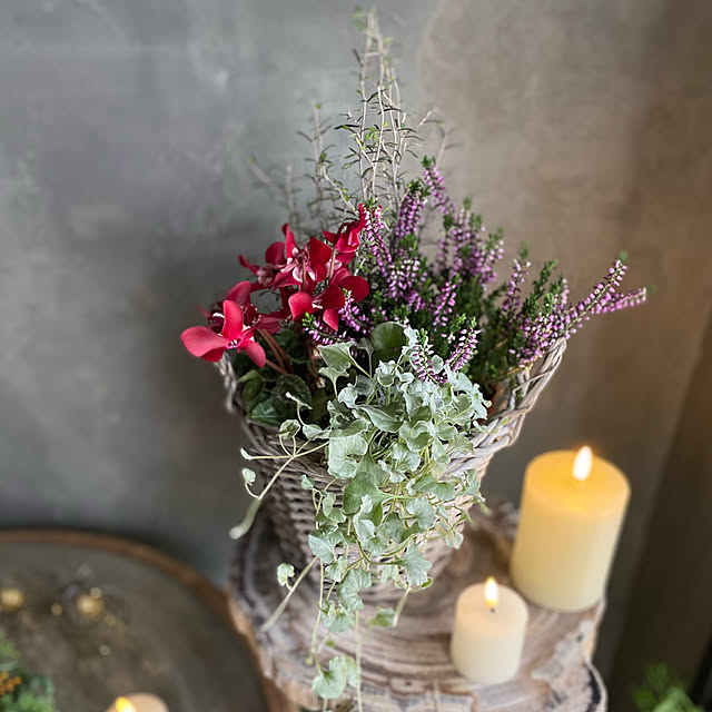 Royal_Gardeners_Clubさんの部屋