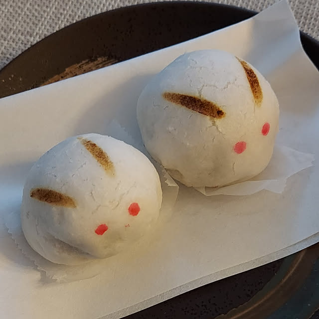 実例写真
