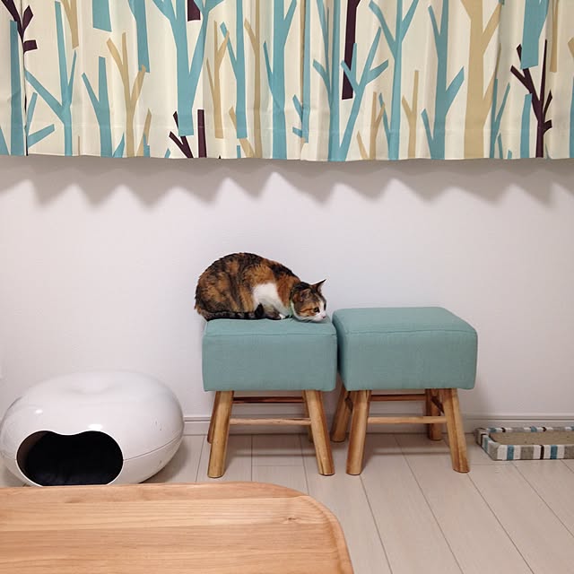 oginさんの実例写真