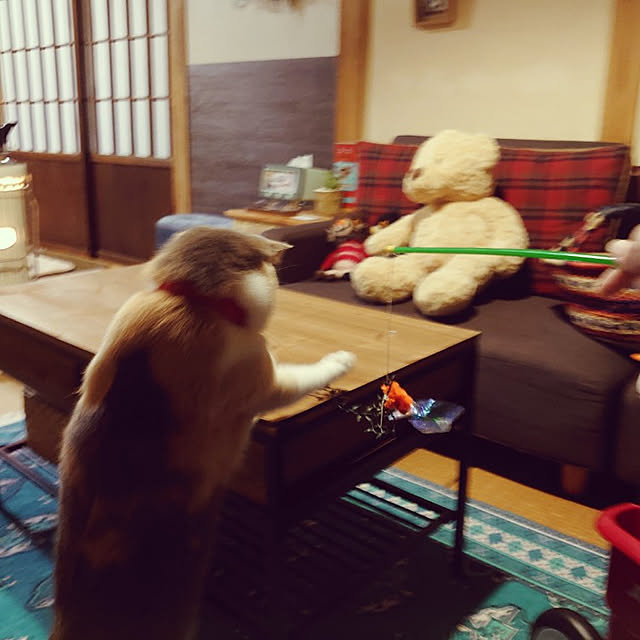 fukuさんの実例写真