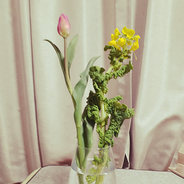 cathirin6_6さんの実例写真