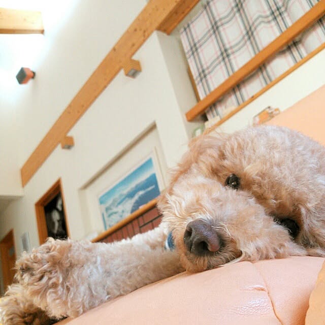 rikoさんの実例写真