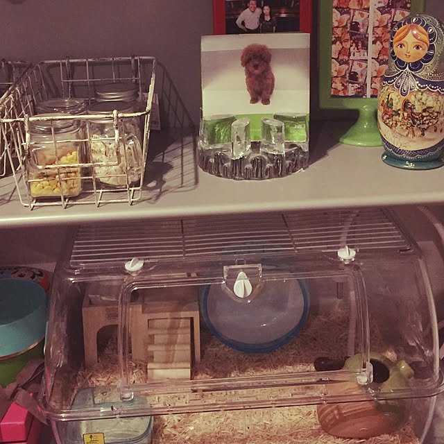 plumさんの実例写真