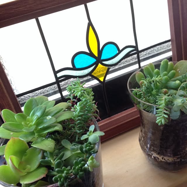 rinoさんの実例写真