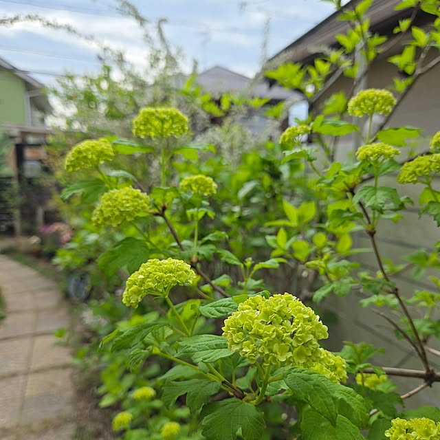 min_nimさんの実例写真