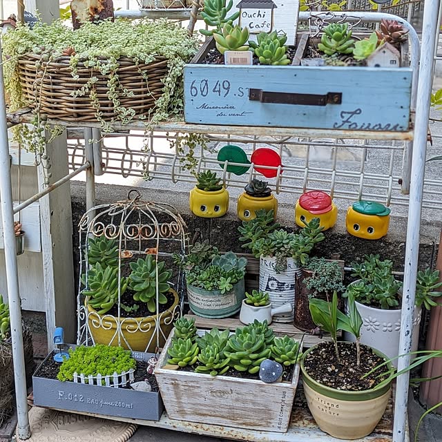 junさんの部屋