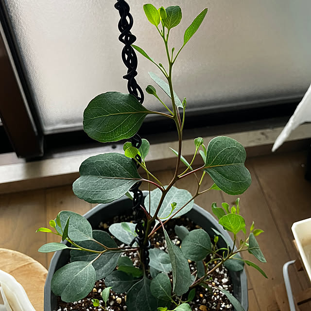 kagomamaさんの部屋