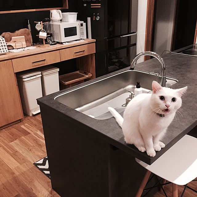 Chuppeetaさんの実例写真