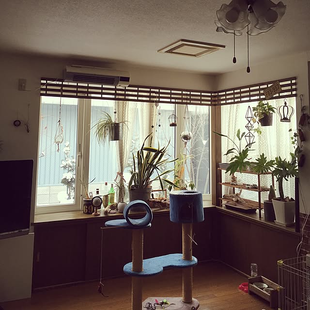 nakachanさんの実例写真