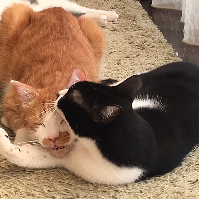 marukoさんの実例写真