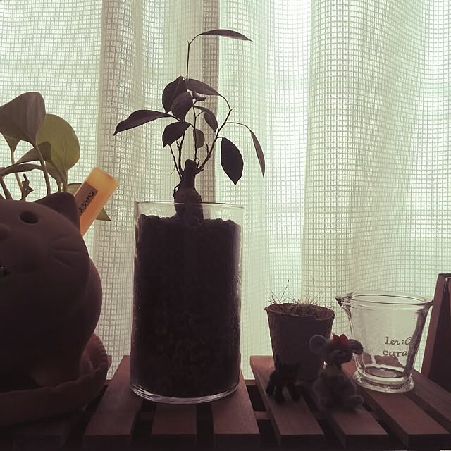 yu---koさんの実例写真
