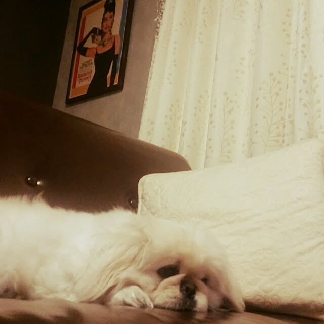yukagomaさんの実例写真