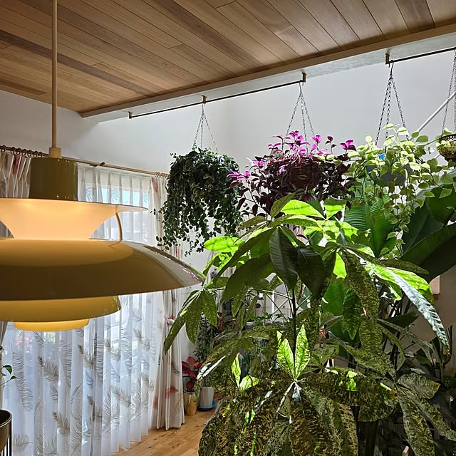 nonbiri_house_さんの部屋