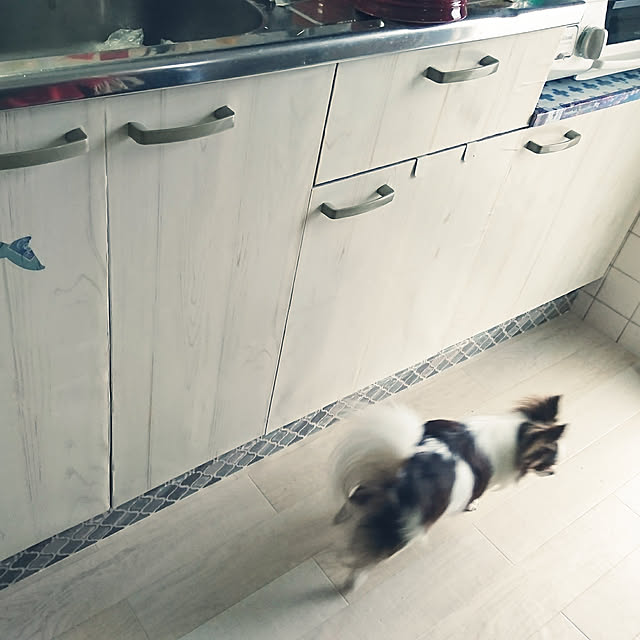 Tomokoさんの実例写真