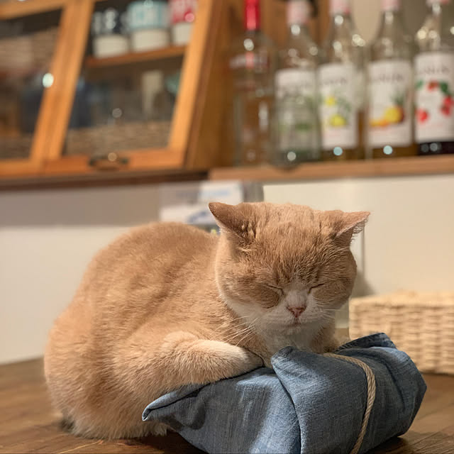 maruさんの実例写真
