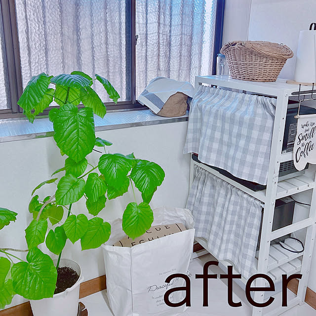 aiさんの実例写真