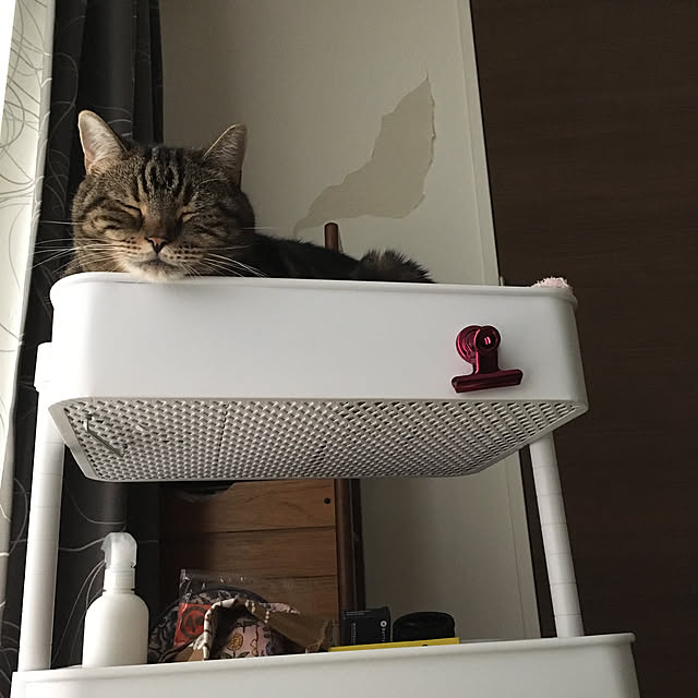 mikomaruさんの実例写真