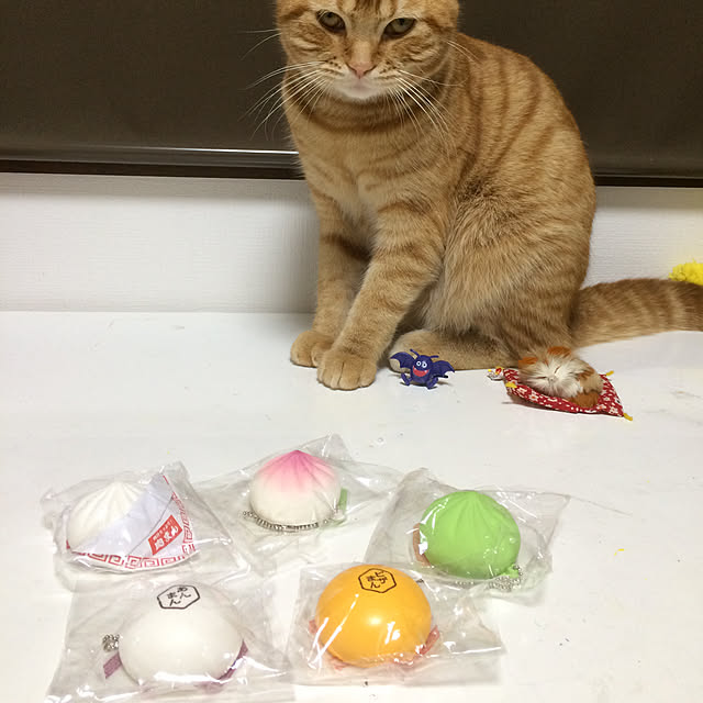 nekoさんの実例写真