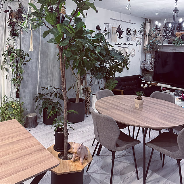 usakoさんの部屋