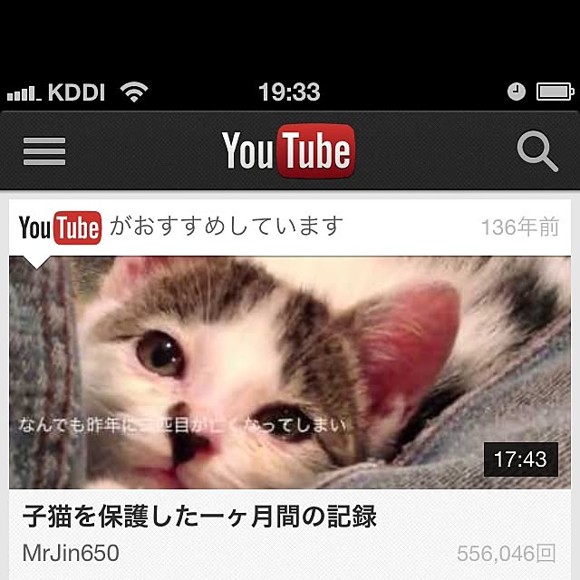 実例写真