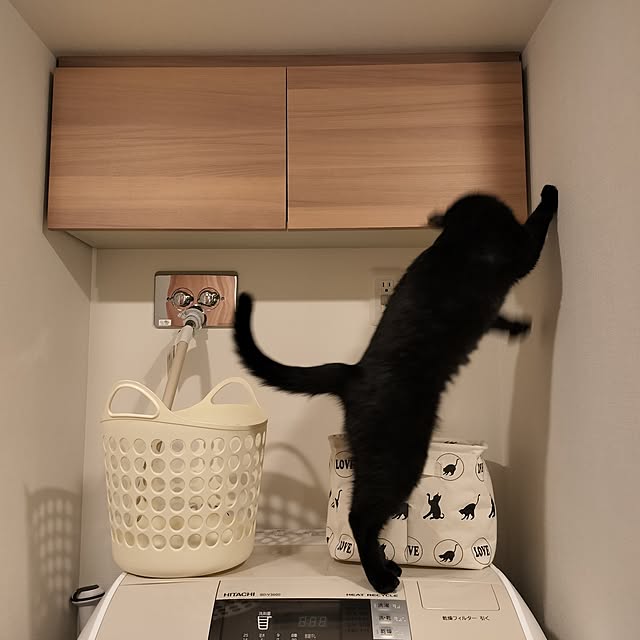 sakuraさんの部屋