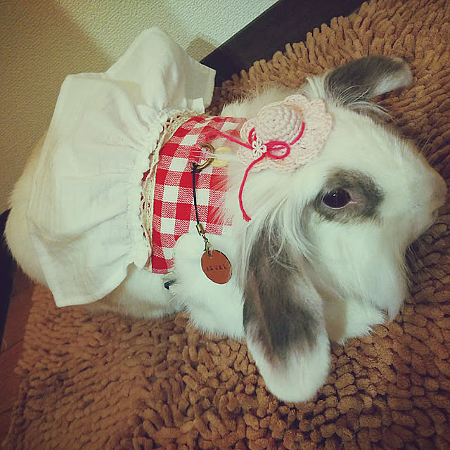 WASABIさんの実例写真