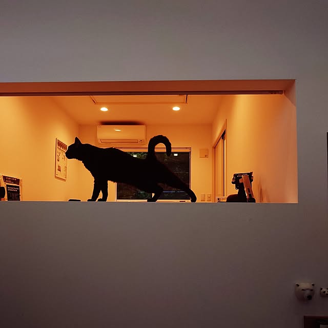 Blackcatさんの部屋
