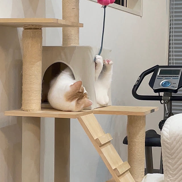 yumiさんの部屋