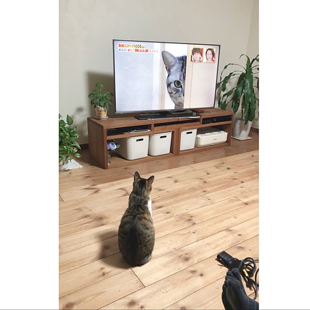 yurari.bonnさんの実例写真