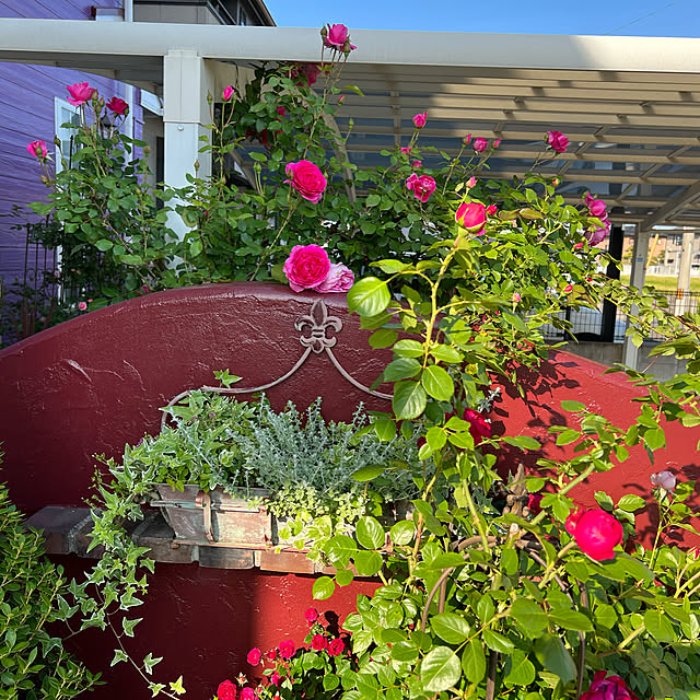 AYUKOさんの実例写真