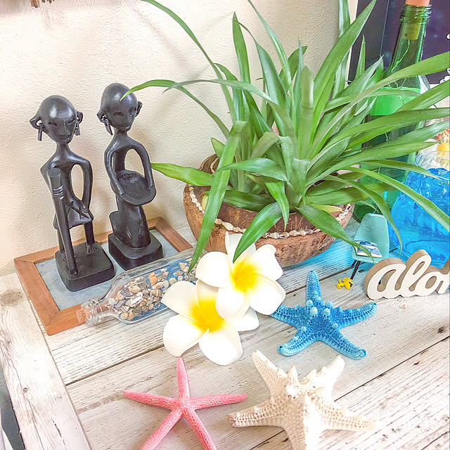 Aliceさんの実例写真