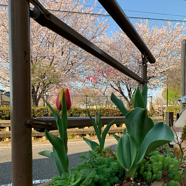 tabasaさんの実例写真